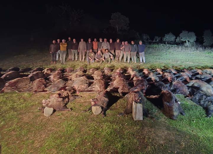 Resultado Montería La Heredad 2026 ManchaSul